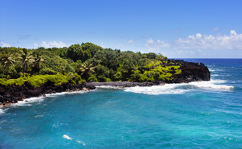 penny pinching in paradise