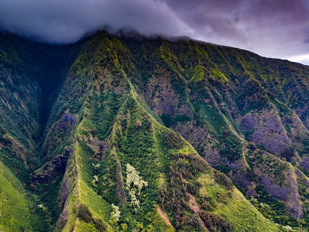 Iao Valley & Maui Tropical Plantation
